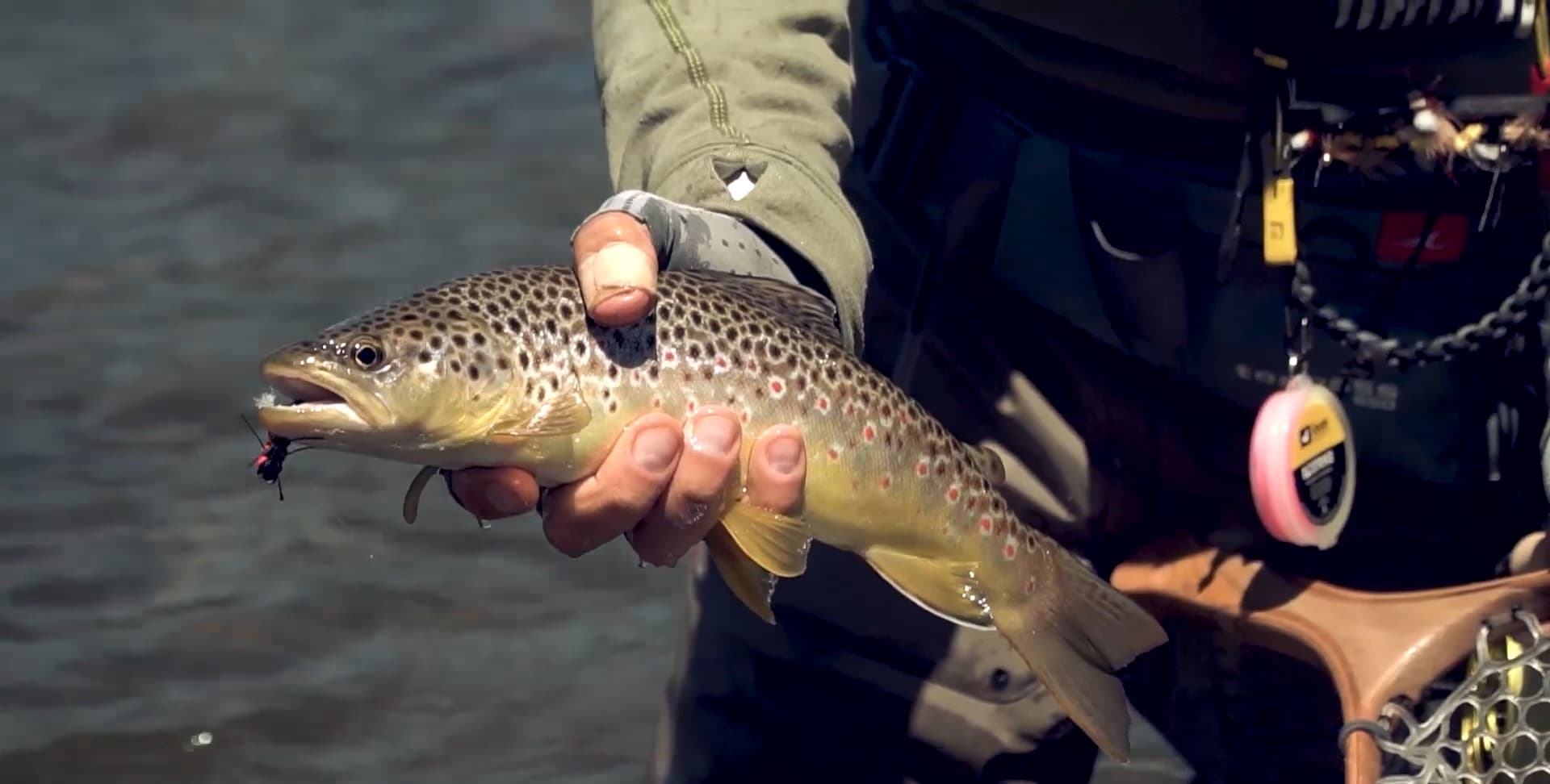 Fly fishing in Patagonia 4