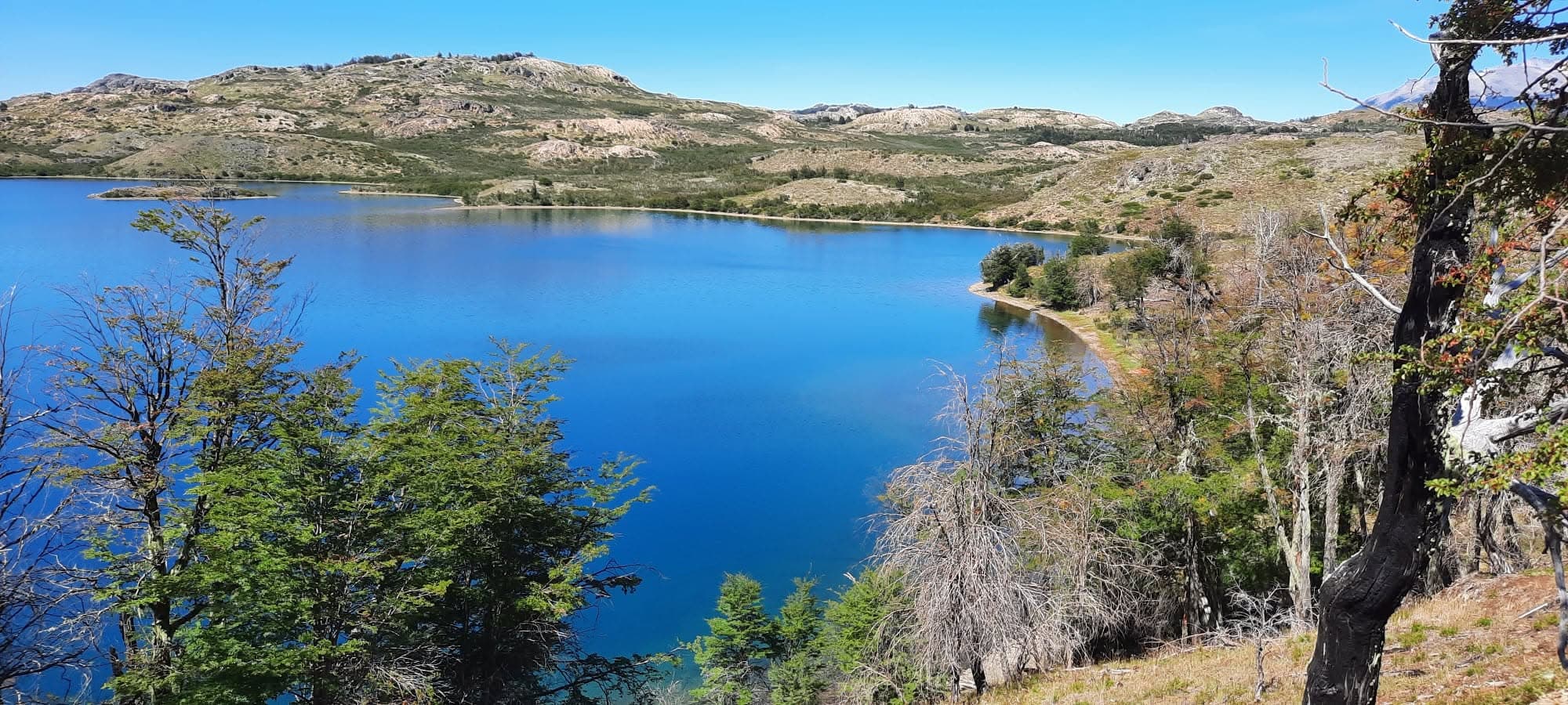 Pesca con mosca en Lago 2