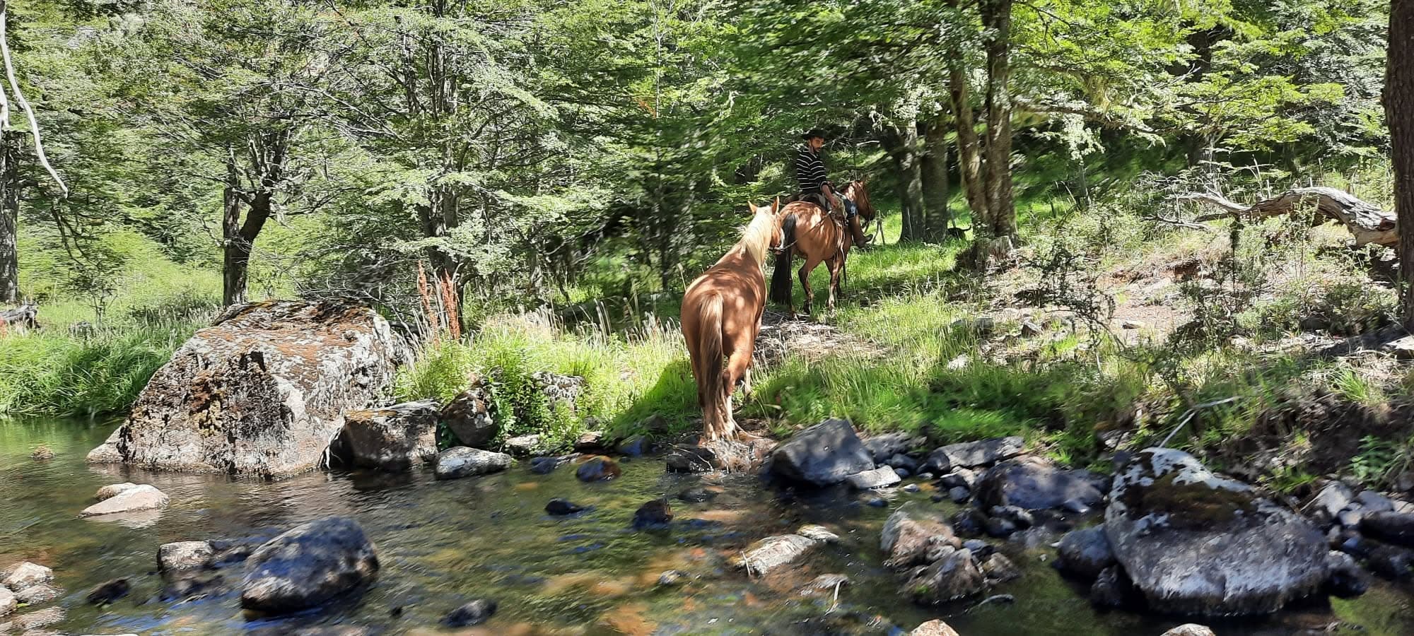 Horseback riding and wildlife spotting — Horseback rides