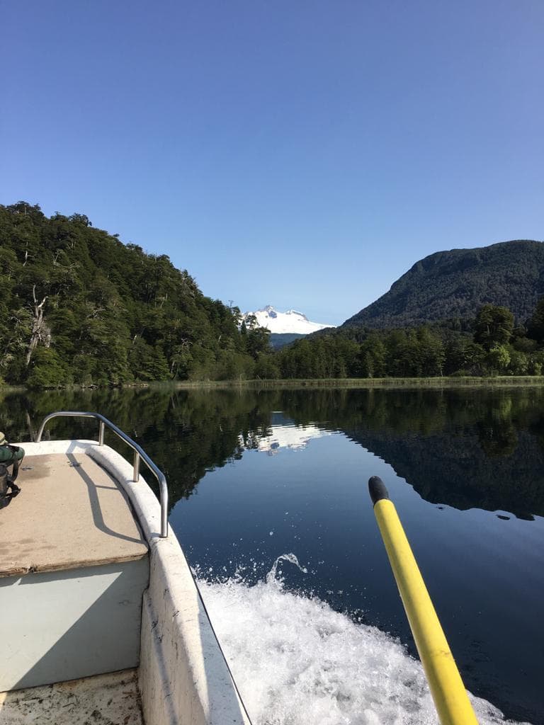 7 Noches/6 Días de Pesca con Mosca Guiada en Patagonia
